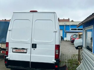 2005 Fiat Professional Ducato, белый, 710000 рублей, вид 4