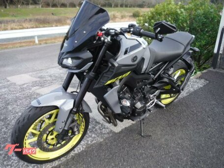2017 Yamaha MT-09 (FZ-09), серый, 750000 рублей, вид 4