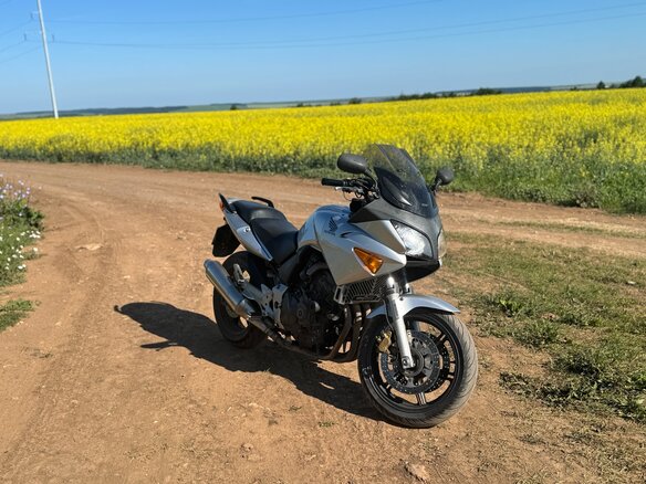 2004 Honda CBF 600, серебристый, 449000 рублей