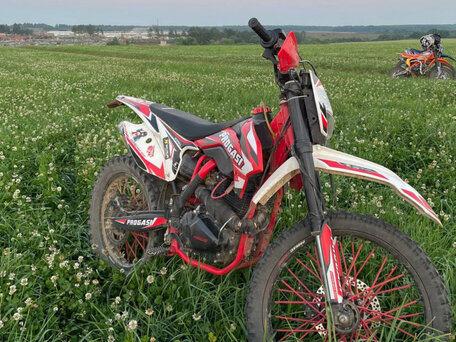 2022 Progasi Super Max 300, красный, 110000 рублей, вид 5