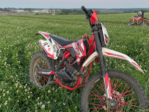 2022 Progasi Super Max 300, красный, 110000 рублей - вид 4