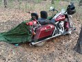 2002 Harley-Davidson Road King, красный, 680000 рублей - вид 2