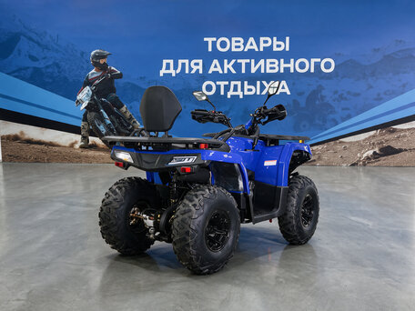 2026 Bizon YK250 LUX EFI, синий, 279700 рублей, вид 2