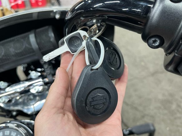2018 Harley-Davidson Heritage, бежевый, 1490000 рублей - вид 37