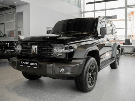 Tank 300 I