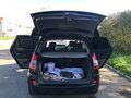2007 Renault Scenic II Рестайлинг, чёрный, 500000 рублей - вид 5