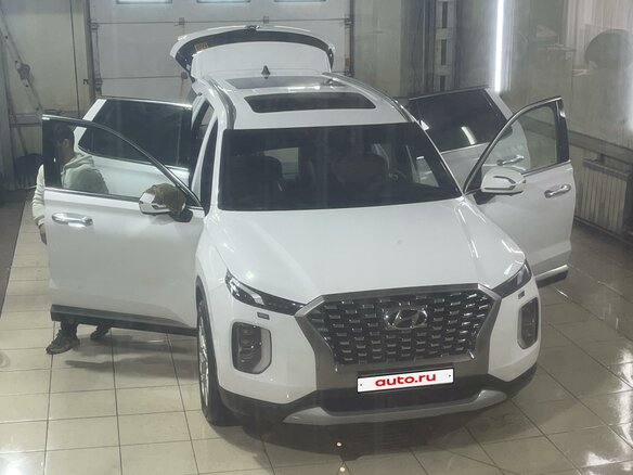 2019 Hyundai Palisade I, белый, 4290000 рублей - вид 6