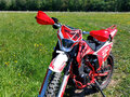 2025 Darex Alga 300, красный, 155000 рублей - вид 2