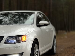 2014 Skoda Octavia III (A7), белый, 1500000 рублей, вид 5