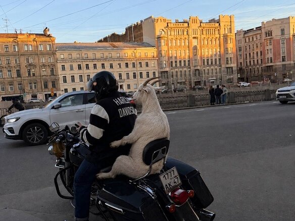2018 Harley-Davidson Road King, зелёный, 1600000 рублей - вид 10
