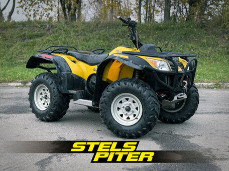 2013 Polar Fox XY500ATV, жёлтый, 299000 рублей, вид 1