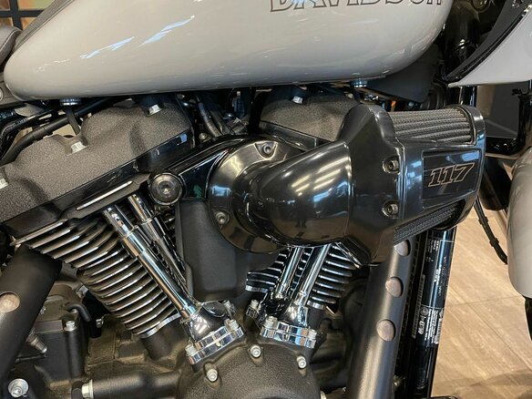 2024 Harley-Davidson Low Rider ST, серый - вид 5