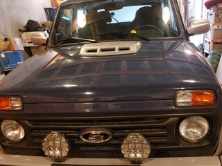 2016 Lada (ВАЗ) 2121 (4x4) I Рестайлинг, синий, 990000 рублей, вид 1