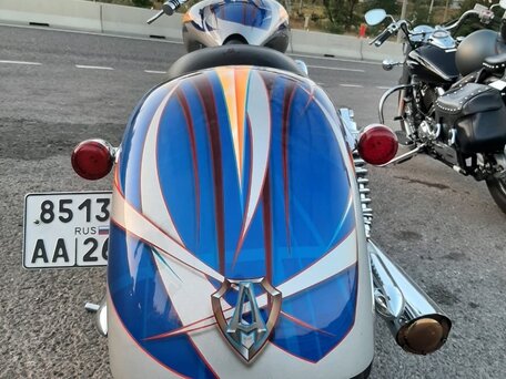 2007 Arlen Ness Lowliner, серебристый, 2300000 рублей, вид 4