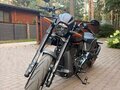 2019 Harley-Davidson FXDR 114, коричневый, 2700000 рублей