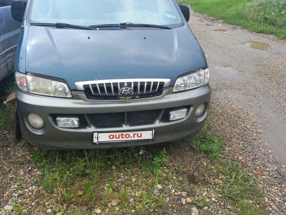 2001 Hyundai H-1 I, зелёный, 600000 рублей