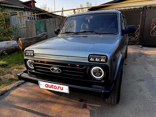 2010 Lada (ВАЗ) 2131 (4x4) Рысь I, серый, 270000 рублей, вид 3