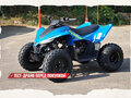 2025 CFMoto CFORCE 110, синий, 269910 рублей - вид 2