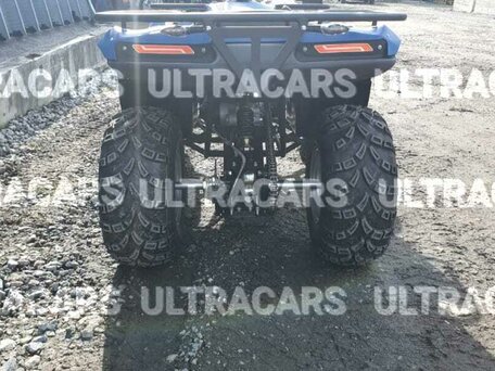 2026 Irbis ATV 200U, синий, 235196 рублей, вид 4
