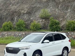 2022 Haval M6 Plus II, белый, 1064000 рублей, вид 3