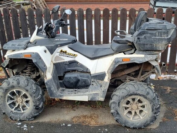2020 Stels ATV-650 Guepard ST, белый, 790000 рублей - вид 1