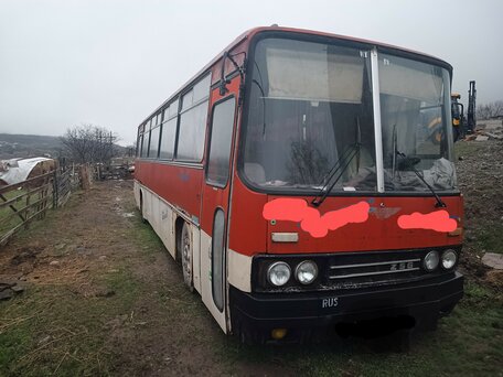 1989 Ikarus 256, красный, 550000 рублей, вид 2