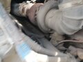 2003 Volvo VNL, белый, 1650000 рублей - вид 4