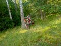 2015 Kayo Classic, красный, 75000 рублей - вид 4