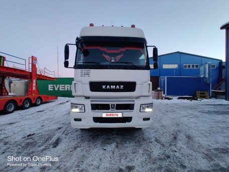 2019 КамАЗ 65209, белый, 2500000 рублей, вид 4