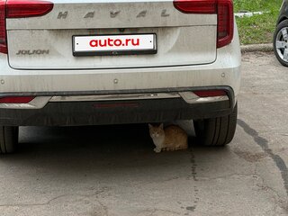 2022 Haval Jolion I, белый, 1450000 рублей, вид 5
