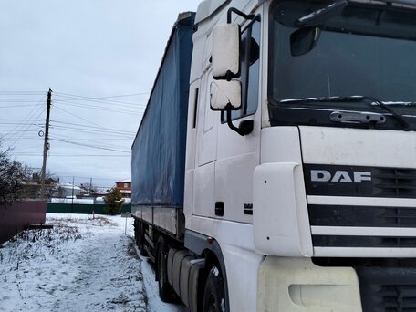 2006 DAF XF 95, белый, 3600000 рублей, вид 2