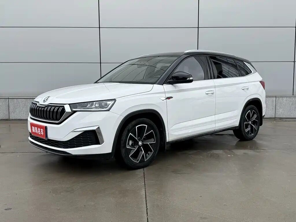 Открыть фотографии: Skoda Kamiq I (China Market)