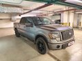 2011 Ford F-150 XII, серый - вид 2