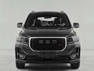 2024 SWM G05 Pro, серый, 1875000 рублей, вид 2