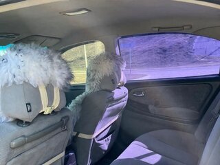 1999 Nissan Cefiro III (A33), чёрный, 450000 рублей, вид 3