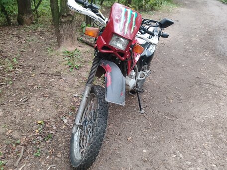 2006 Lifan LF200GY-5, красный, 100000 рублей, вид 4