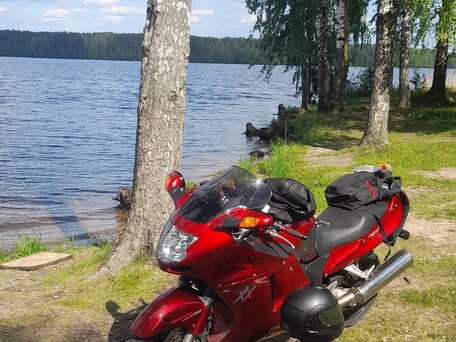 1999 Honda CBR 1100 XX, красный, 500000 рублей, вид 2