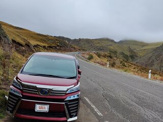 2019 Toyota Vellfire II Рестайлинг, красный, 4190000 рублей, вид 1