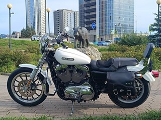 2007 Harley-Davidson Sportster 1200, белый, 533000 рублей, вид 3