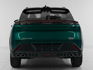 2024 Dongfeng Mage, зелёный, 2850000 рублей, вид 5