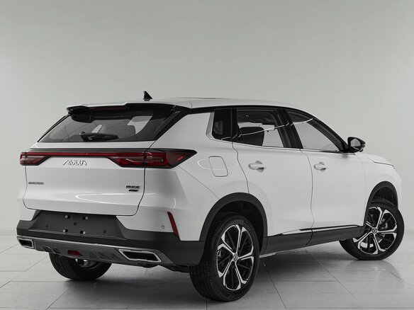 2025 Dongfeng Huge, белый, 2800000 рублей - вид 5