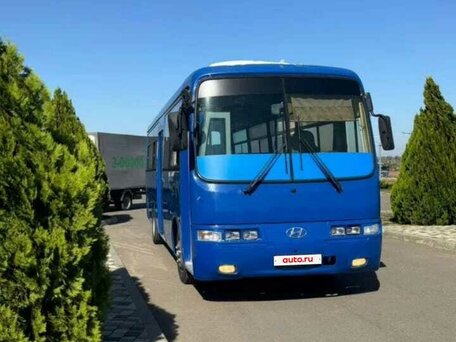 2007 Hyundai Aero Town, синий, 2200000 рублей, вид 5