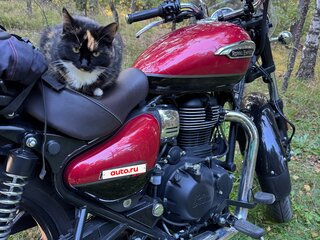 2024 Royal Enfield Meteor, красный, 350000 рублей, вид 1