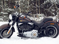 2013 Harley-Davidson Fat Boy, коричневый, 1350000 рублей - вид 3