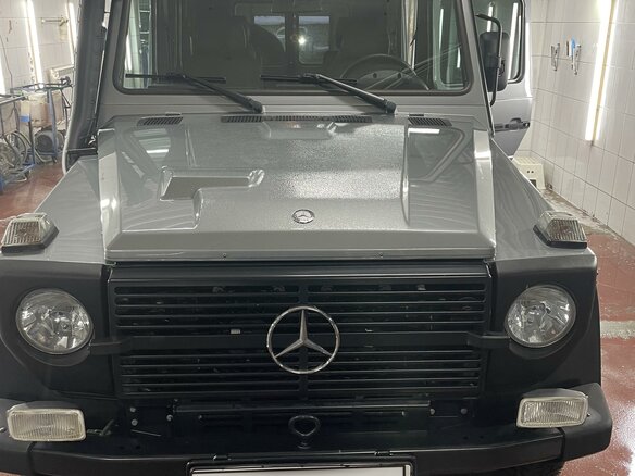 2013 Mercedes-Benz G-Класс 300 Professional I (W461) Professional, серый - вид 2