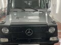 2013 Mercedes-Benz G-Класс 300 Professional I (W461) Professional, серый - вид 2