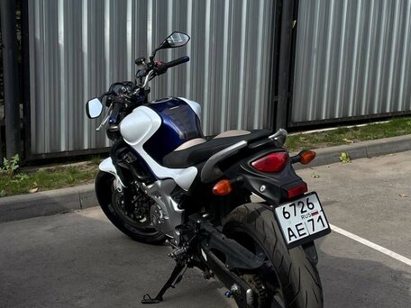 2010 Suzuki SFV 400 Gladius, синий, 430000 рублей, вид 3