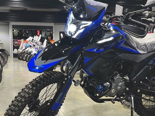 2024 Racer XSR, синий, 132000 рублей, вид 1