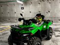 2025 Loncin XWolf 300, зелёный, 300000 рублей - вид 9
