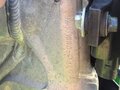 2009 Kawasaki KX 250, зелёный, 299000 рублей - вид 9